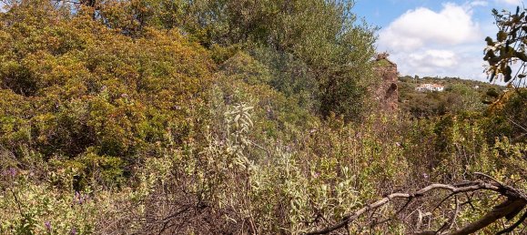 Terrain à Olhao, Portugal 114120m² No. 41797 20