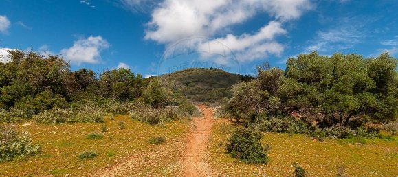 Terrain à Olhao, Portugal 114120m² No. 41797 22
