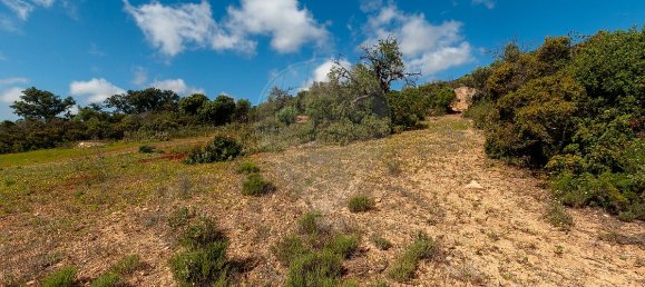 Terrain à Olhao, Portugal 114120m² No. 41797 28