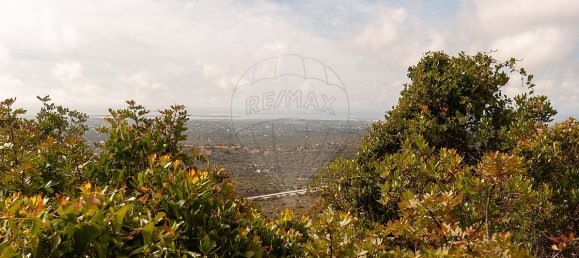 Terrain à Olhao, Portugal 114120m² No. 41797 7