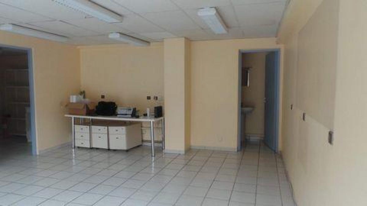Büro in Toulouse, France 55m², Nr. 20208