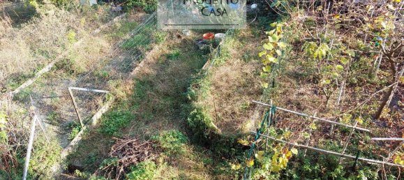 3 rooms Apartment in Omegna, Italy No. 28303 15