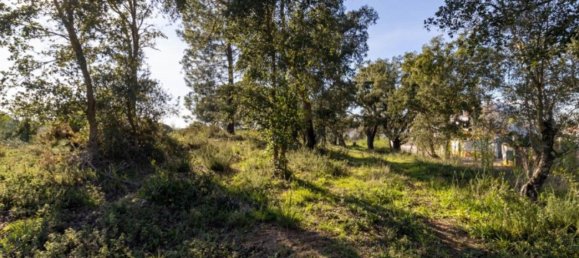 59500m² Land in Setubal, Portugal No. 90858 34