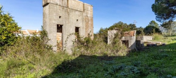 59500m² Land in Setubal, Portugal No. 90858 28