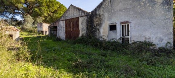 59500m² Land in Setubal, Portugal No. 90858 29