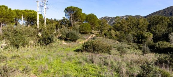 59500m² Land in Setubal, Portugal No. 90858 31
