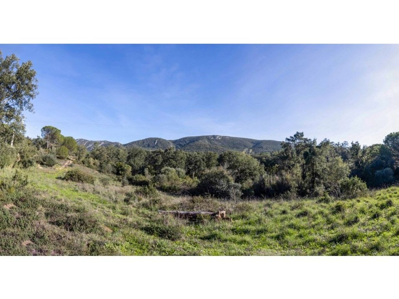 59500m² Land in Setubal, Portugal No. 90858