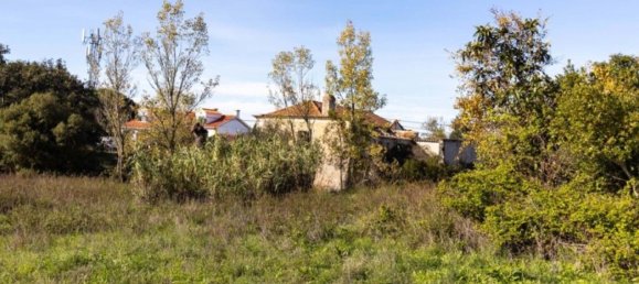 59500m² Land in Setubal, Portugal No. 90858 17