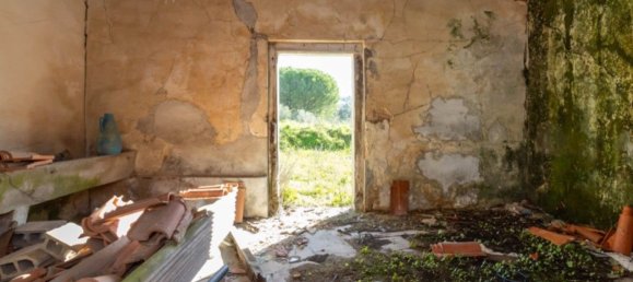 59500m² Land in Setubal, Portugal No. 90858 45