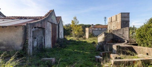 59500m² Land in Setubal, Portugal No. 90858 16