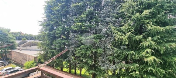 1 غرف نوم شقة في Busto Arsizio, Italy رقم 315445 12