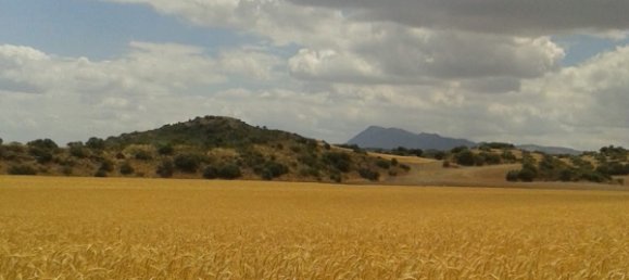 8 bedrooms House in Antequera, Spain No. 45080 9