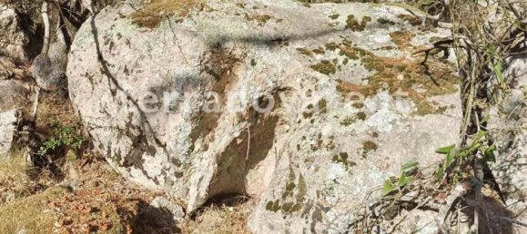 Земельный участок 42000м² в Сант Антонио ди Галлура, Италия № 275332 11