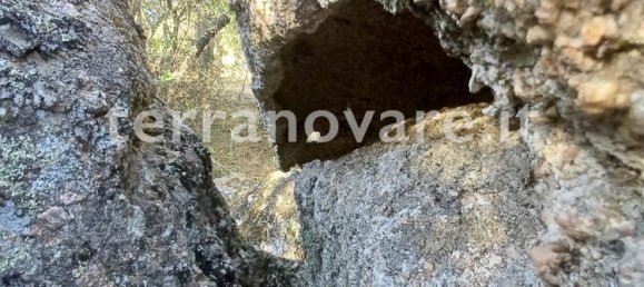 Земельный участок 42000м² в Сант Антонио ди Галлура, Италия № 275332 14