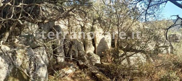 Земельный участок 42000м² в Сант Антонио ди Галлура, Италия № 275332 12