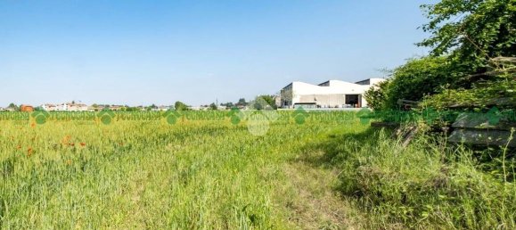 10 bedrooms House in Valsamoggia, Italy No. 169289 14