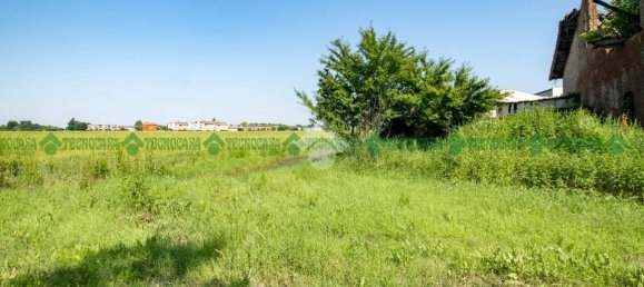 10 bedrooms House in Valsamoggia, Italy No. 169289 5