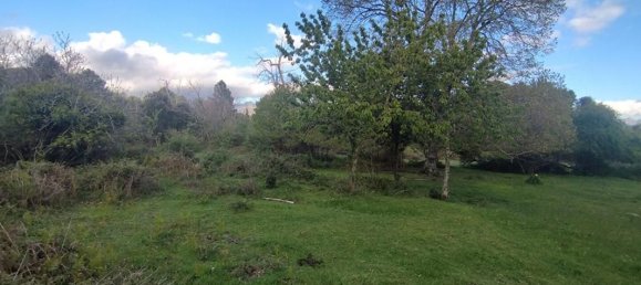 3000m² Land in Quenza, France No. 42560 3