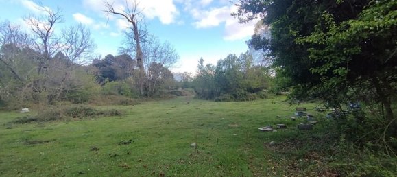 3000m² Land in Quenza, France No. 42560 6