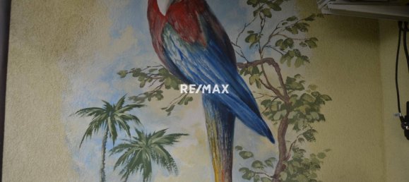 1 غرف نوم منزل في Ebergassing, Austria رقم 81000 6