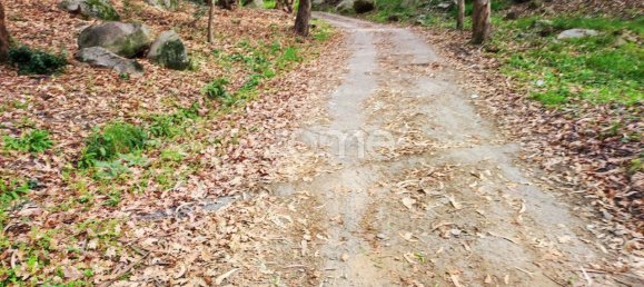  قطعة أرض في Vila Nova de Famalicao, Portugal 11554متر مربع رقم 38966 9