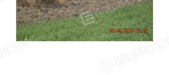 6 rooms Apartment in Ariano Irpino, Italy No. 259029 3