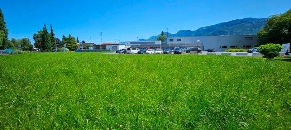  Land in Altach, Austria No. 204998 3
