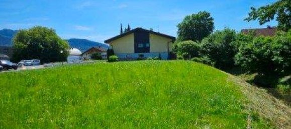  Land in Altach, Austria No. 204998 5
