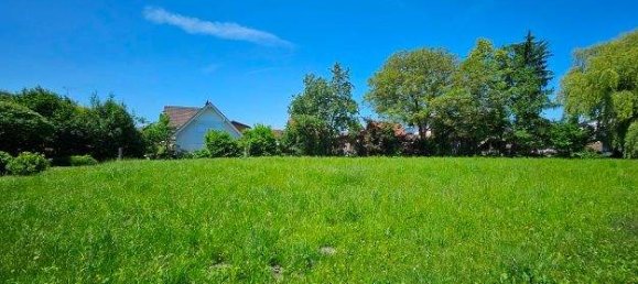  Land in Altach, Austria No. 204998 6