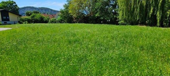  Land in Altach, Austria No. 204998 4