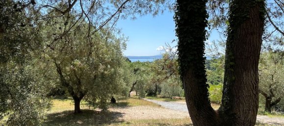 Вилла с 14 комнатами в Гротте ди Кастро, Италия № 26135 39