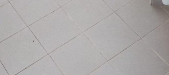 4غرفة شقة في Carrara, Italy رقم 88078 29