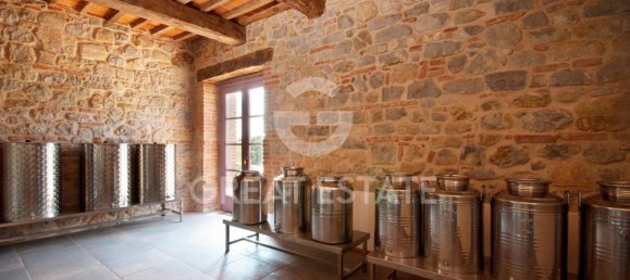 32 rooms House in Montegabbione, Italy No. 172946 26