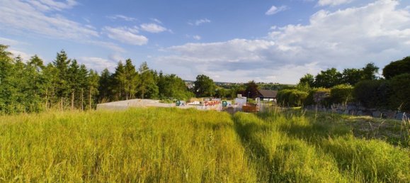 Grundstück in Zwettl-Niederösterreich, Austria, Nr. 65451 4