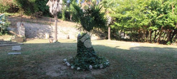 3 chambres Appartement à Pescara, Italy No. 76146 27