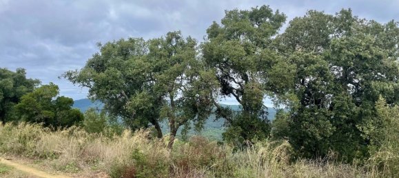 Terreno en Castell-Platja d'Aro, Spain No. 114839 27