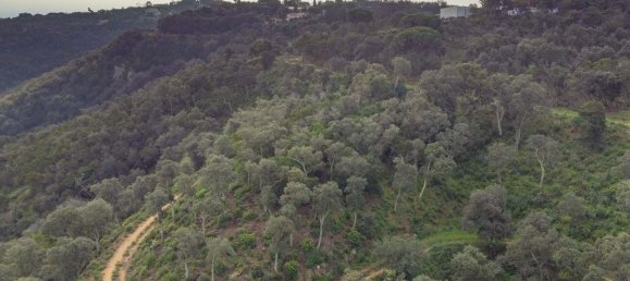 Terreno en Castell-Platja d'Aro, Spain No. 114839 17