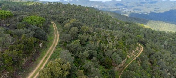 Terreno en Castell-Platja d'Aro, Spain No. 114839 20