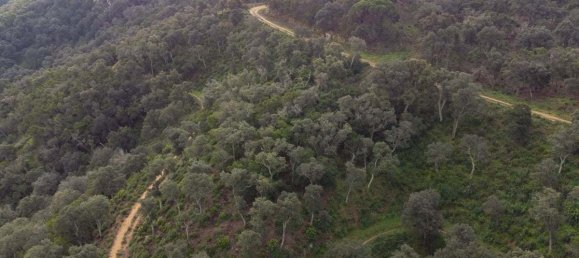 Terreno en Castell-Platja d'Aro, Spain No. 114839 16