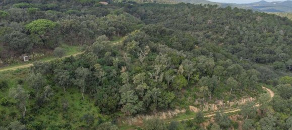 Terreno en Castell-Platja d'Aro, Spain No. 114839 18