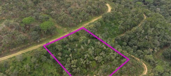 Terreno en Castell-Platja d'Aro, Spain No. 114839 4