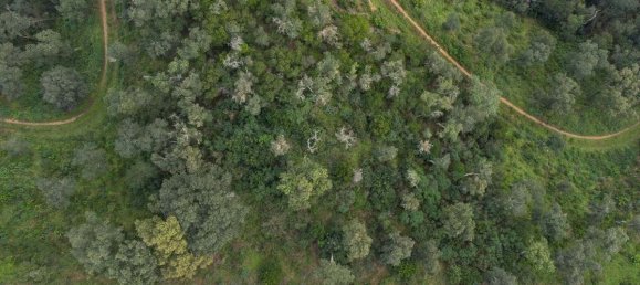 Terreno en Castell-Platja d'Aro, Spain No. 114839 5