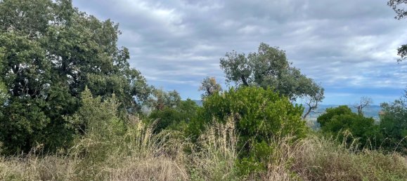 Terreno en Castell-Platja d'Aro, Spain No. 114839 24