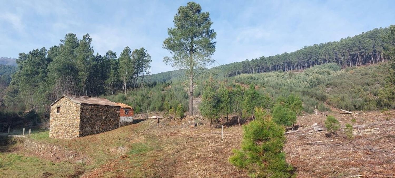  Land in Verdelhos, Portugal No. 306631