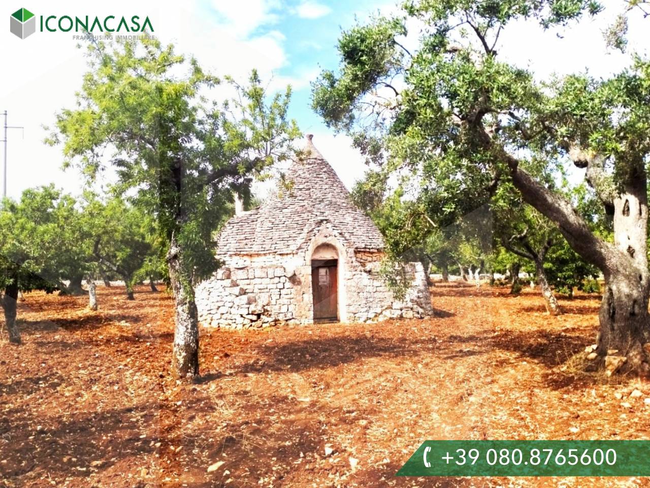 Studio à Castellana Grotte, Italy No. 22714