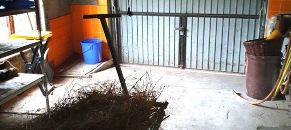 5 rooms House in Coburg, Germany No. 34845 25