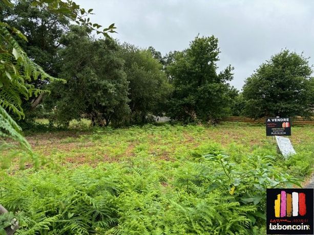 1442m² Land in Messanges, France No. 300302