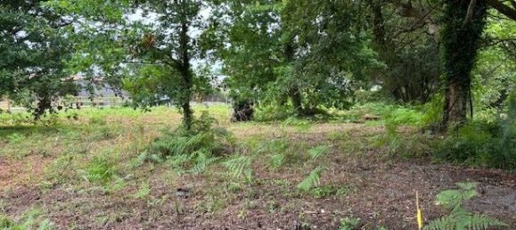 1442m² Land in Messanges, France No. 300302 2