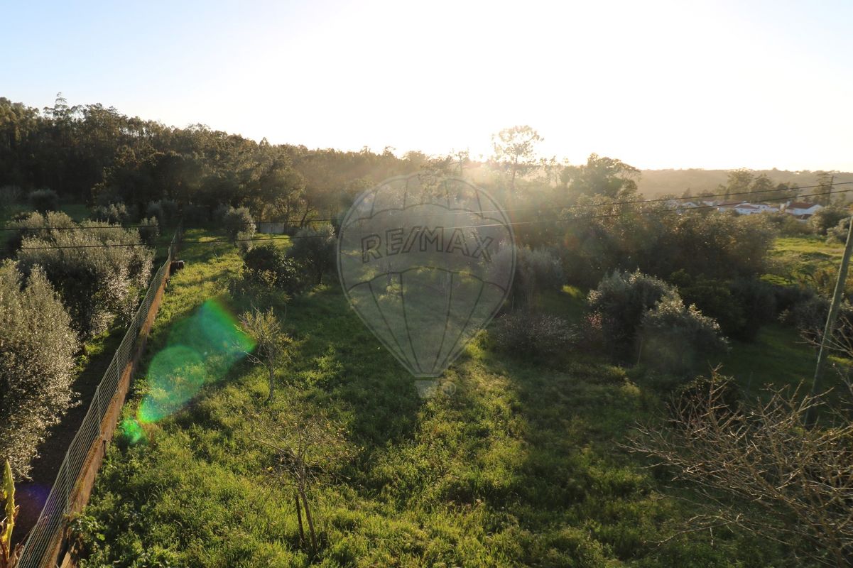 6 chambres Maison à Pombal, Portugal No. 19541