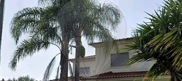 6 chambres Maison à Pombal, Portugal No. 19541 5